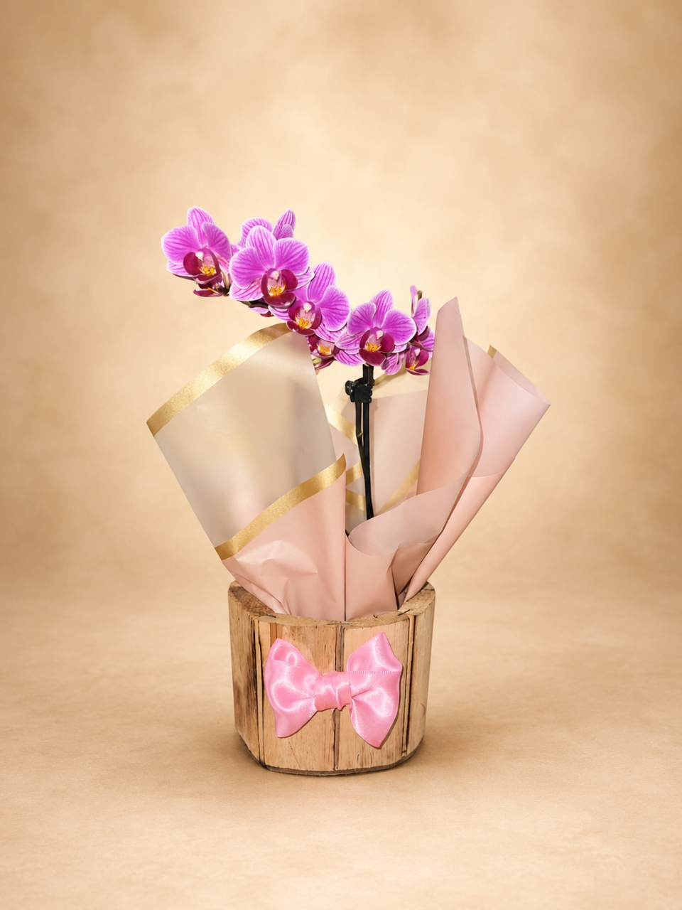 Orquídea na Caixa com Laço